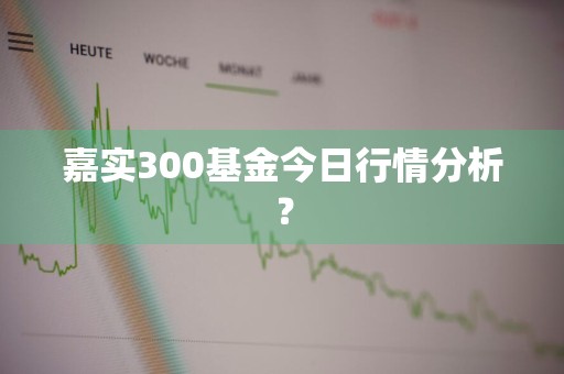嘉实300基金今日行情分析？