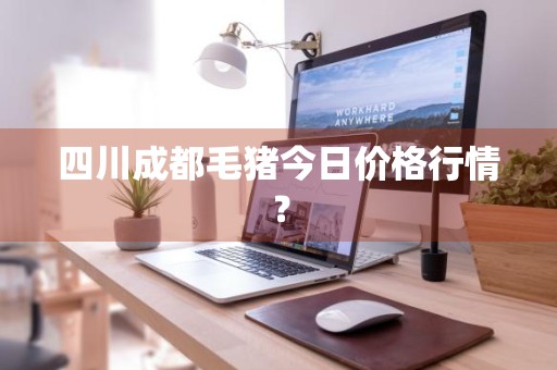 四川成都毛猪今日价格行情？