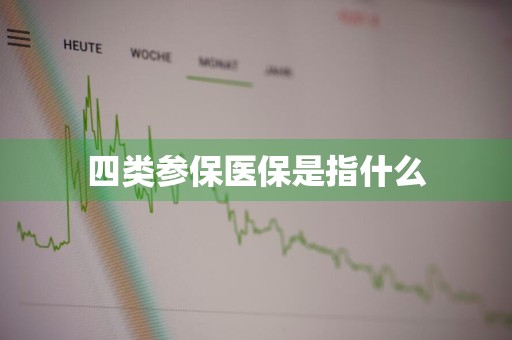 四类参保医保是指什么