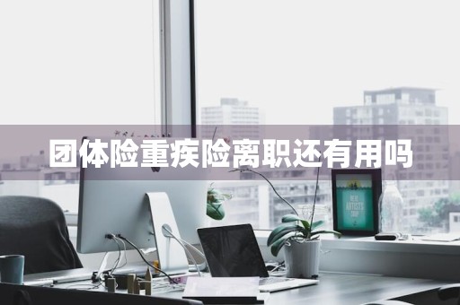 团体险重疾险离职还有用吗