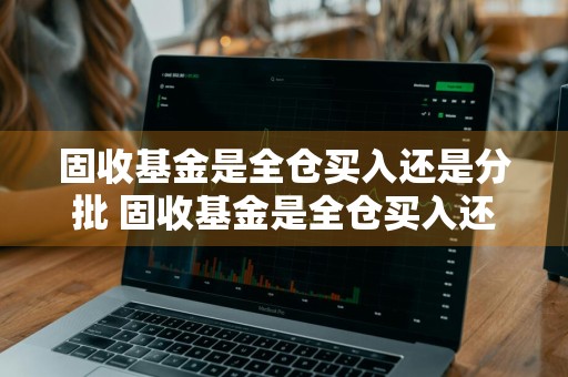 固收基金是全仓买入还是分批 固收基金是全仓买入还是分批买入