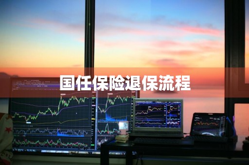 国任保险退保流程