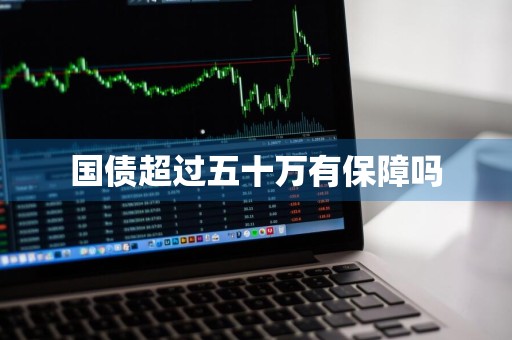 国债超过五十万有保障吗