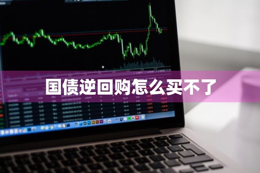 国债逆回购怎么买不了