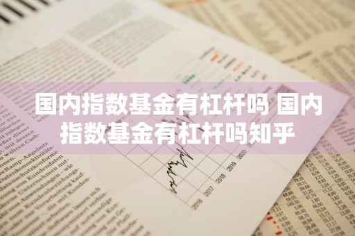 国内指数基金有杠杆吗 国内指数基金有杠杆吗知乎
