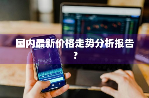 国内最新价格走势分析报告？
