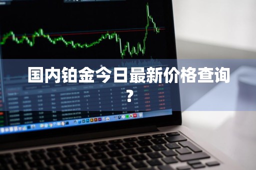 国内铂金今日最新价格查询？