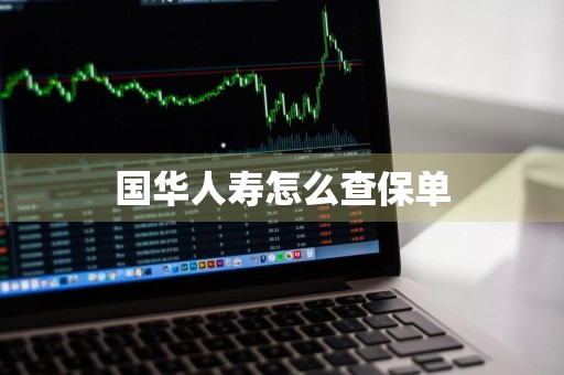 国华人寿怎么查保单