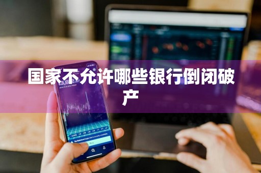 国家不允许哪些银行倒闭破产