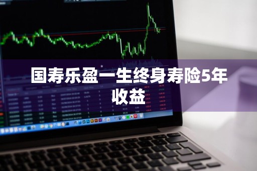 国寿乐盈一生终身寿险5年收益