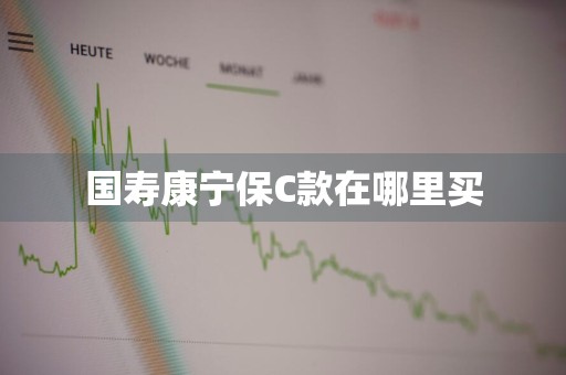 国寿康宁保C款在哪里买