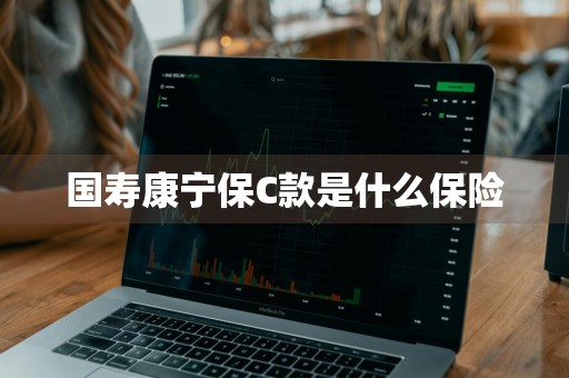 国寿康宁保C款是什么保险