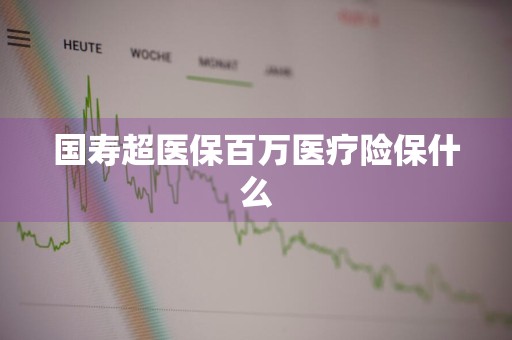 国寿超医保百万医疗险保什么