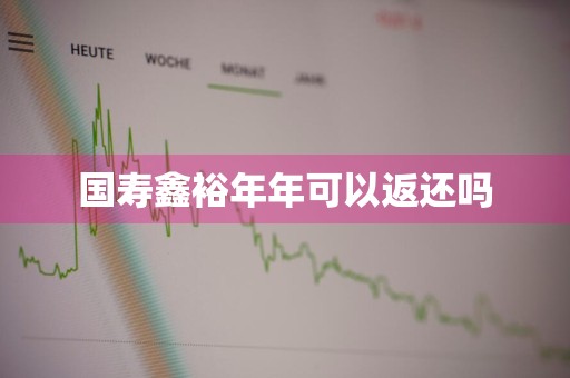 国寿鑫裕年年可以返还吗