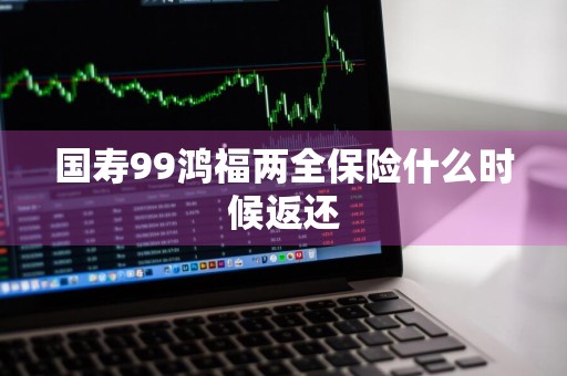 国寿99鸿福两全保险什么时候返还