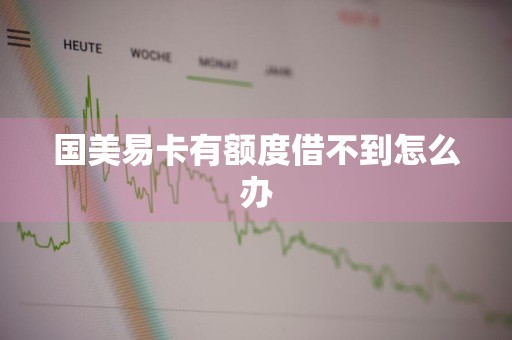 国美易卡有额度借不到怎么办