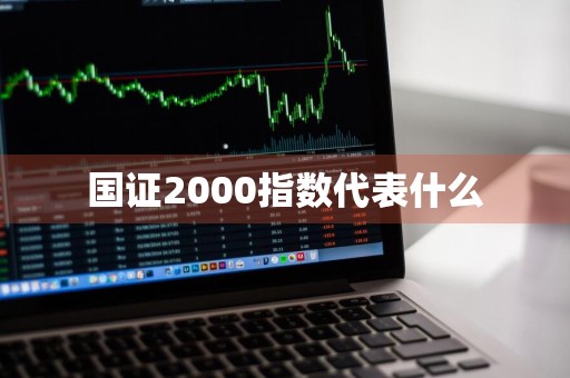 国证2000指数代表什么