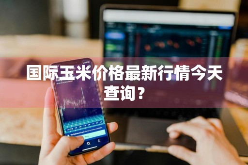 国际玉米价格最新行情今天查询？