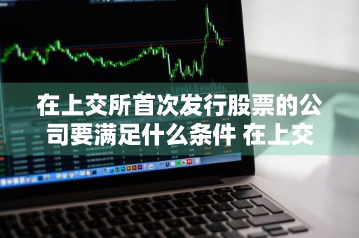在上交所首次发行股票的公司要满足什么条件 在上交所首次发行股票的公司要满足什么条件才能上市