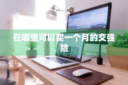 在哪里可以买一个月的交强险