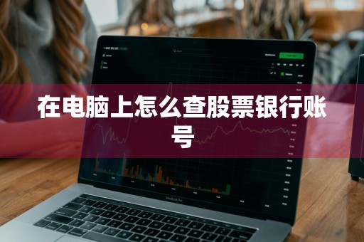 在电脑上怎么查股票银行账号
