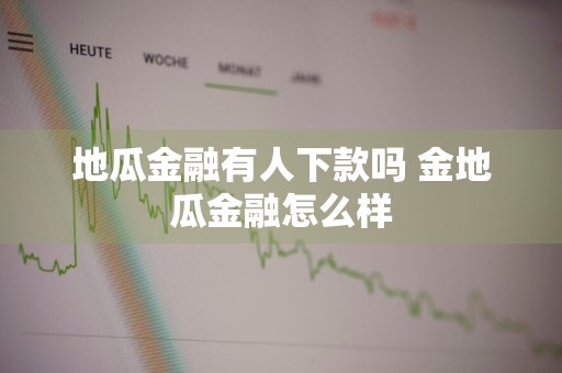 地瓜金融有人下款吗 金地瓜金融怎么样