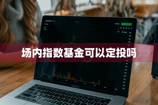 场内指数基金可以定投吗