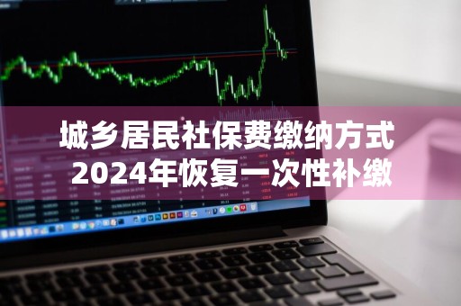 城乡居民社保费缴纳方式 2024年恢复一次性补缴