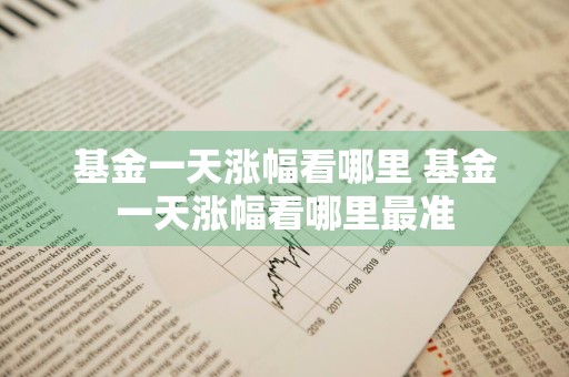 基金一天涨幅看哪里 基金一天涨幅看哪里最准