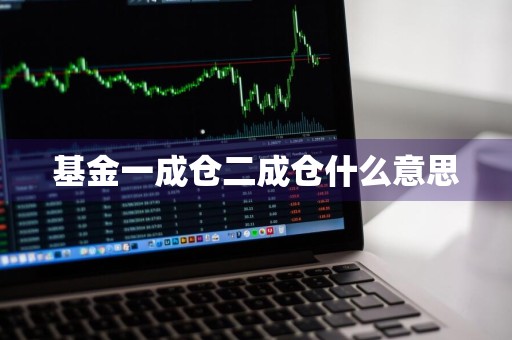 基金一成仓二成仓什么意思