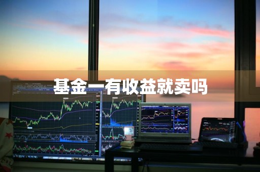 基金一有收益就卖吗