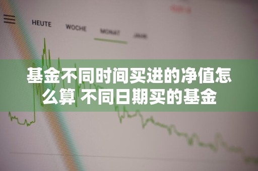 基金不同时间买进的净值怎么算 不同日期买的基金