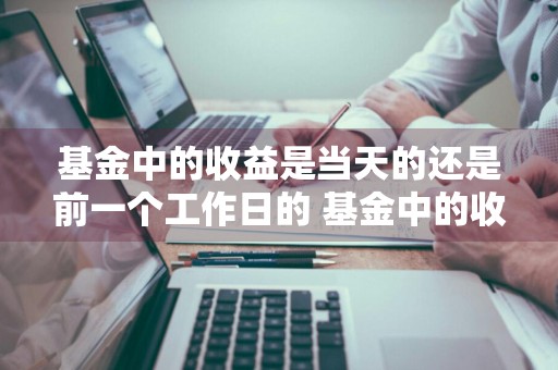 基金中的收益是当天的还是前一个工作日的 基金中的收益是当天的还是前一个工作日的