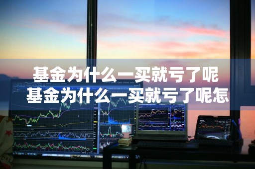 基金为什么一买就亏了呢 基金为什么一买就亏了呢怎么回事
