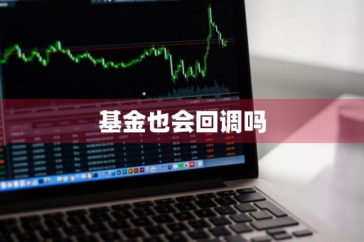 基金也会回调吗