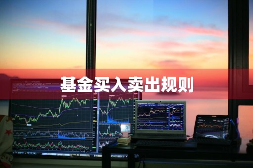 基金买入卖出规则