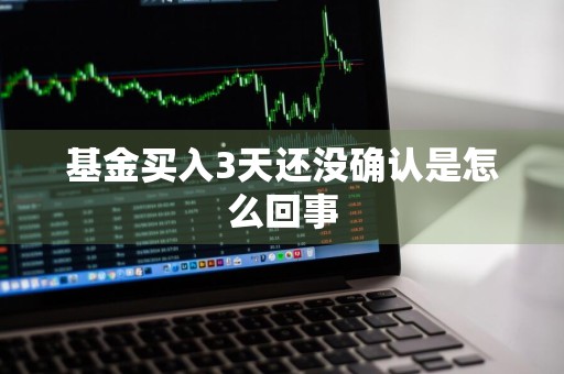 基金买入3天还没确认是怎么回事