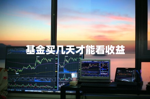 基金买几天才能看收益