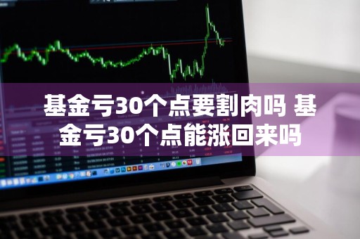 基金亏30个点要割肉吗 基金亏30个点能涨回来吗