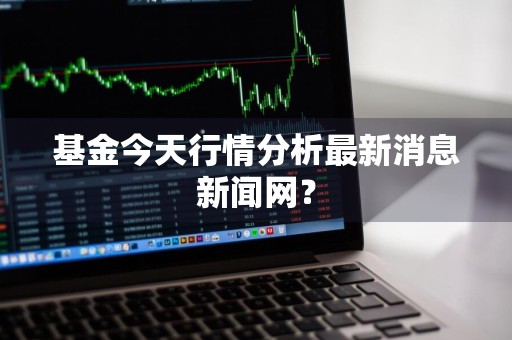 基金今天行情分析最新消息新闻网？