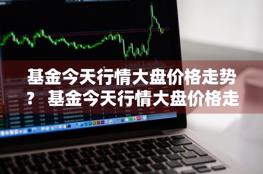 基金今天行情大盘价格走势？ 基金今天行情大盘价格走势图