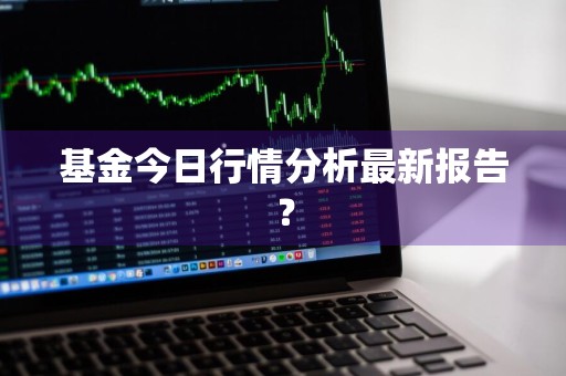 基金今日行情分析最新报告？