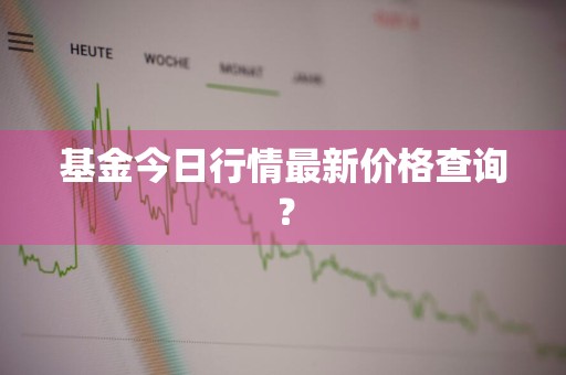 基金今日行情最新价格查询？