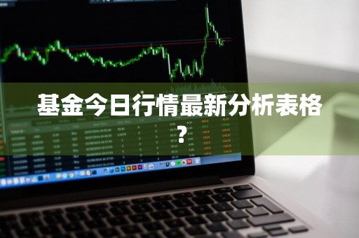 基金今日行情最新分析表格？
