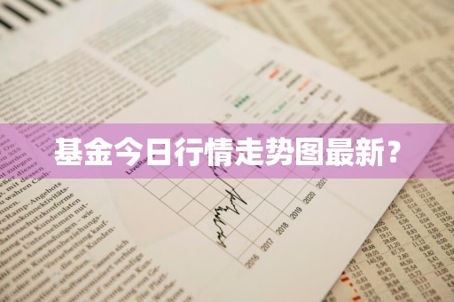 基金今日行情走势图最新？
