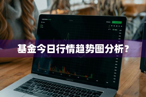 基金今日行情趋势图分析？