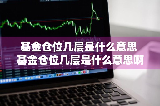 基金仓位几层是什么意思 基金仓位几层是什么意思啊