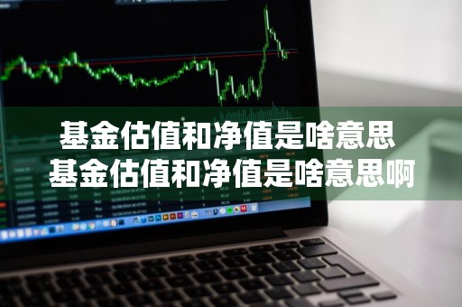 基金估值和净值是啥意思 基金估值和净值是啥意思啊