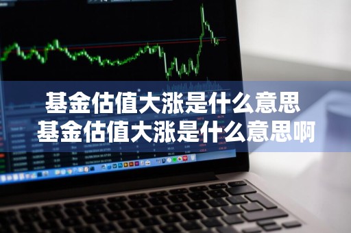 基金估值大涨是什么意思 基金估值大涨是什么意思啊
