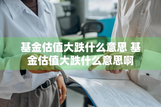 基金估值大跌什么意思 基金估值大跌什么意思啊
